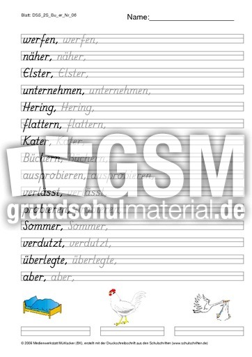DSS_2S_Bu_er_Nr_06.pdf